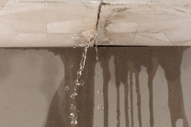 Professional Commercial Water Damage Restoration technician working in Elkton, TN